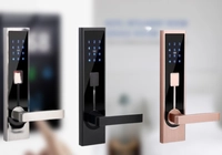 Rivoluzione Smart Lock: sicurezza digitale per l'ospitalità moderna