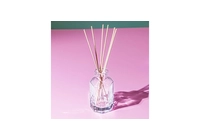 Low MOQ luxury diffuser vessels manufacturer