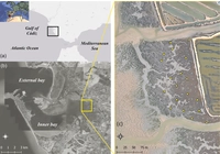 Estimation de la biomasse des marais salants avec une caméra drone MicaSense 10 bandes et LiDAR