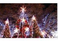 How to spend your holiday in Christmas’day