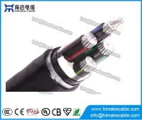 中国 铝芯钢带铠装交联聚乙烯绝缘电力电缆0.6/1KV 制造商