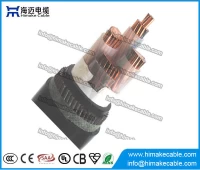 中国 钢丝铠装交联聚乙烯绝缘电力电缆 0.6/1KV 制造商