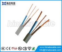 中国 BS6004 聚氯乙烯绝缘及护套扁平电缆线 300/500V 450/750V 制造商