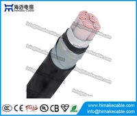 China Stalen band gepantserde LSZH Power kabel 0.6/1KV fabrikant