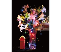 China Waterenergie LED Christmas light fabrikant, China fabrikant
