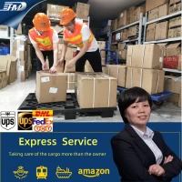 Maska Wysyłka Zamówienie Wzrost UP | Sunny Worldwide Logistics Limited