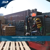 Sunny Worldwide Logistics | La historia de la operación de transporte de carga.