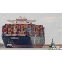 Porty południowochińskie zakłócone przez epidemię wywołane 135 skoków portowych i 600 000 kontenerów TEU