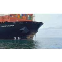 A transportadora a granel de 200.000 toneladas colidiu com outro navio enquanto pilotava o rio Yangtze, e sua proa foi danificada