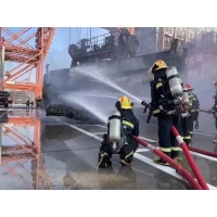 Another historical tragedy—concealment of dangerous goods