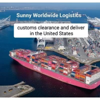 Sunny Worldwide Logistics talks about customs clearance and delivery in the United States
