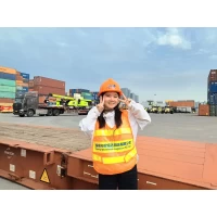 中国からセントマーチン（フランス語）から国境を越えた物流の専門家カスタマイズされたソリューション、安全な信頼性
