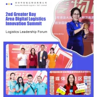 中国からガイアナプロジェクトロジスティクススペシャリスト、国際貨物、効率的な手間無料