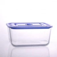 China Factory direct wholesale oblong heat resistant glass bowl with lid manufacturer