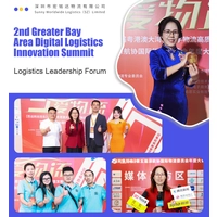 Spécialistes de la logistique du projet de la Chine à Guyana ， Freight international, sans tracas efficaces
