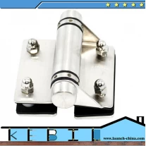China Factory price stainless steel gate hinge for swimming pool fabricante