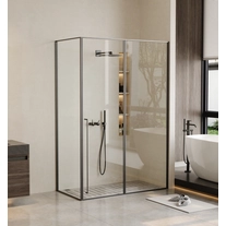 Chine Conception intérieure salle de bain en verre coulissant en verre de douche de douche fabricant