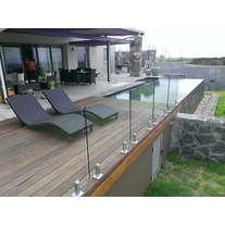 China Frameless glass fence baseplate cannula pool manufacturer