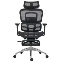 中国 Newcity 809AR 高品质人体工学躺椅带脚凳尼龙全网背和座椅人体工学办公椅多功能人体工学网椅供应商中国 制造商