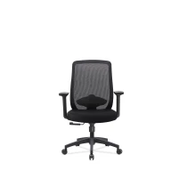 Trung Quốc Newcity 696B Ghế Văn Phòng Lưng Lưới Có Hỗ Trợ Thắt Lưng Tay Vịn Có Thể Điều Chỉnh Bàn Xoay Cho Văn Phòng Tại Nhà nhà chế tạo