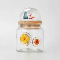 Kina new glass contianer with dry plant on the glass wall - COPY - 7ef9aw proizvođač