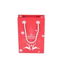 China Manufacture Shopping Bag Christmas Gift Recyclable Paper Bag manufacturer