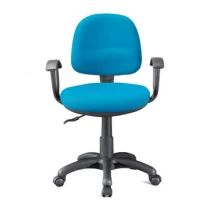 China Newcity 1190-1 Computer Reading Ergonomic Chair High Quality Customized Swivel  Offce Chair Middle Back Mesh Chair School Student Office Desk Chair Supply Foshan China manufacturer
