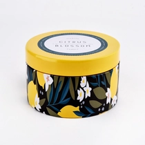 China Luxury Candle Aromatherapy Tinplate Wax Cup Metal Candle Jar with Lid manufacturer