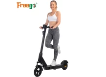 Partage des affaires de scooter Freego Big Progress