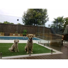 China modern design stainless steel glass spigot railing manufacturer