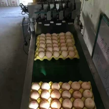 中国 新しいタイプの工業用卵のインクジェットプリンタの卵のインクジェットプリンタの日付コード/ロゴレーザージェットプリンタ メーカー