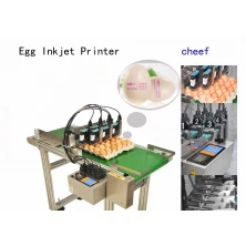 porcelana impresión automática industrial de máquina de marcado de fecha y hora para huevos fabricante