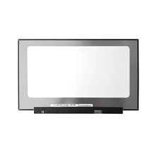 porcelana NV173FHM-N49 LCD B173HAN04.2 B173HANE04.3 N173HCE-E3A N173HCE-E3B FHD 1920 * 1080 Pantalla portátil fabricante