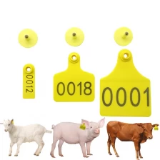 China Costom logo China Manufacturer Sheep Ear Tag Goat Ear Tags Animal Ear Tags manufacturer