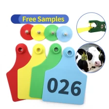 Cina Etichette per bestiame etichette TPU Materiale maiale/bestiame/capra Ear Ear Identificazione Animal Identificazione Tag di Plastica Piatta Piatta Piatta produttore