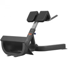 China Fitness equipment back extension gym use hyper extension bench manufacturer