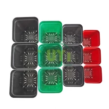 China Cheap Wholesale Flower Nursery Small Mini Square Plastic Succulent Flower Plant Pot With Hole manufacturer