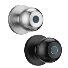 China New Smart Fingerprint Wood Door Lock Tuya Ttlock APP Manufacturer manufacturer