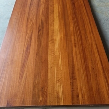 Tsina Carbonized Poplar Walnut Color Panels - Natural Grain para sa Wall Cladding at Background Wall Manufacturer