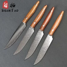 China China Handcrafted 4-Piece Damascus Steak and Fruit Knife Set supplier manufacturer