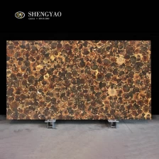 China Conch Fossil Semi Precious Stone Slab On Sale manufacturer