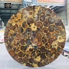 Chine Dessus de table fossile de conque personnalisé, dessus de table rond en pierre semi-précieuse fabricant