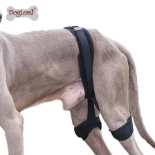 Chine Ceinture de correction auxiliaire de hanche de protecteur de jambe de chien de compagnie fabricant