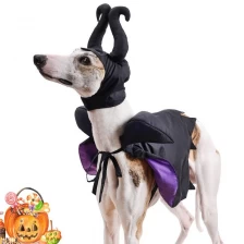 China Wholesale Pet Product Halloween Cat Maleficent Pet Villain Clothes Costume Dog Evil Queen Pet Costume manufacturer