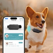 중국 지오펜스를 갖춘 4G 실시간 위치 애완동물 GPS 추적기 제조업체