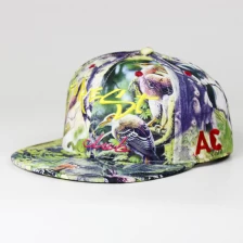 الصين قبعات SNAPBACK رخيصة، وقبعات SNAPBACK الصانع