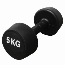 China 1 to10kg Fitness Rubber Free Dumbbell Weights China Wholesaler manufacturer