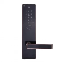 China Electronic smart bluetooth APP keypad TT door lock manufacturer