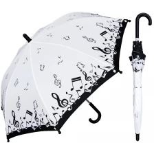 Chine Parapluie Magique 19 pouces Magic Change Color Open Manual fabricant