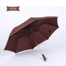 porcelana High quality Auto open 2 fold umbrella with logo print golf umbrella fabricante